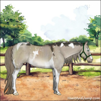 Horse Color:White Spotted Liver Red Dun Mushroom Tobiano 