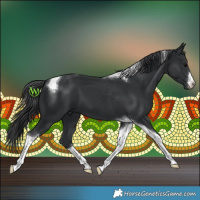 Horse Color:White Spotted Black Tobiano 