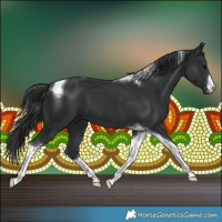 Horse Color:White Spotted Black Tobiano 