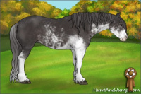 Horse Color:Smoky Black Sabino 