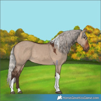Horse Color:Silver Brown Dun Tobiano 