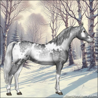 Horse Color:White Spotted Silver Blue Onyx Chinchilla 