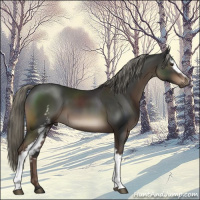 Horse Color:White Spotted Liver Chestnut Mushroom 