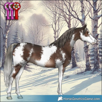 Horse Color:Liver Chestnut Mushroom Sabino 