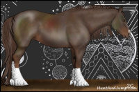Horse Color:Liver Chestnut Sabino 