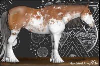 Horse Color:Bay Sabino Rabicano 