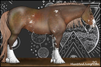 Horse Color:Liver Chestnut Sabino Rabicano 