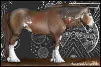 Horse Color:Gray Liver Chestnut Sabino Rabicano  and Liver Chestnut Sabino Splash Rabicano 