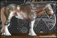 Horse Color:Gray Liver Chestnut Sabino Frame Rabicano 