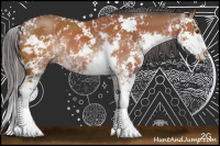 Horse Color:Bay Sabino Rabicano 