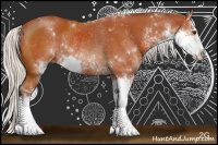 Horse Color:Silver Bay Sabino Rabicano 