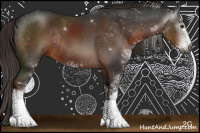 Horse Color:Gray Liver Chestnut Sabino Rabicano 