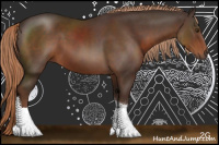 Horse Color:Liver Chestnut Sabino Tobiano 