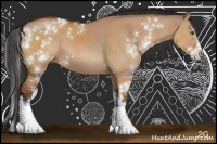 Horse Color:Bay Dun Sabino 