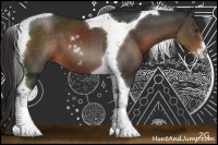 Horse Color:Liver Chestnut Sabino Tobiano