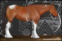 Horse Color:Bay Sabino Tobiano 