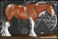 Horse Color:Bay Sabino Splash Tobiano 