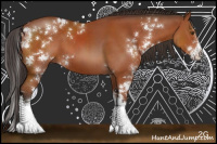 Horse Color:Bay Sabino 