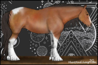 Horse Color:Bay Sabino Tobiano 