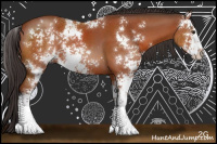 Horse Color:Bay Sabino 