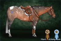 Horse Color:White Spotted Brown Tobiano Rabicano 