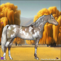Horse Color:White Spotted Liver Red Dun Mushroom