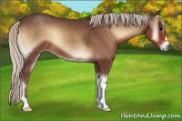Horse Color:Silver Blue Onyx 