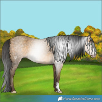 Horse Color:Gray Sable Cream Champagne Roan 