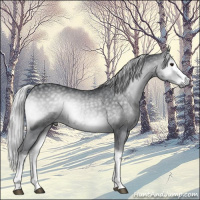 Horse Color:White Spotted Silver Blue Onyx Chinchilla 