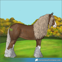 Horse Color:Chocolate Palomino Splash 