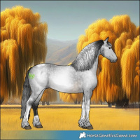 Horse Color:Gray Buckskin Roan Tobiano Frame 
