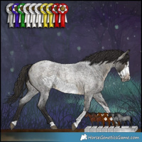 Horse Color:Buckskin Roan Sabino Frame 