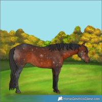 Horse Color:Brown 