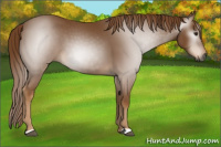 Horse Color:Gray Chestnut 