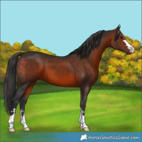 Horse Color:Brown 