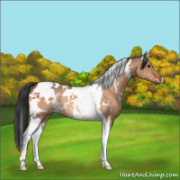 Horse Color:White Spotted Brown Dun Tobiano Rabicano 