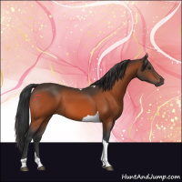 Horse Color:Brown Tobiano