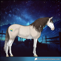 Horse Color:Classic Champagne Dun Splash Rabicano 