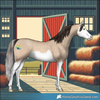 Horse Color:Sable Champagne Dun Splash 
