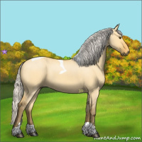 Horse Color:Silver Buckskin Dun Tobiano 