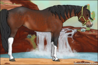 Horse Color:Brown 