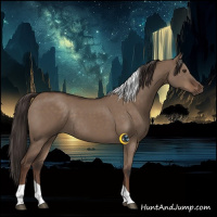 Horse Color:Liver Red Dun Tobiano Rabicano