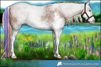Horse Color:Painted Plaid  White Spotted Chocolate Palomino Ice Dun Sabino Brindle 