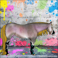Horse Color:Painted Chocolate Palomino Roan Onyx Sabino