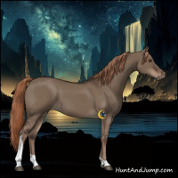 Horse Color:Liver Red Dun Tobiano Rabicano