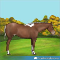 Horse Color:Gray Silver Black Pearl Tobiano 