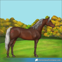 Horse Color:Silver Brown Rabicano 