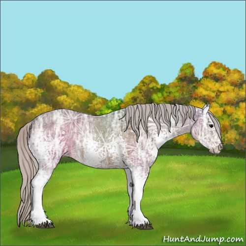 Horse Color:White Spotted Silver Brown Ice 