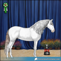 Horse Color:Brown Dun Appaloosa Brindle 