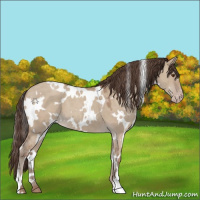 Horse Color:White Spotted Classic Champagne Dun 
